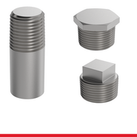 CAST-STAINLESS-FITTINGS-CF8M-CAST-PLUGS